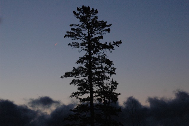 Image for sea smoke morning