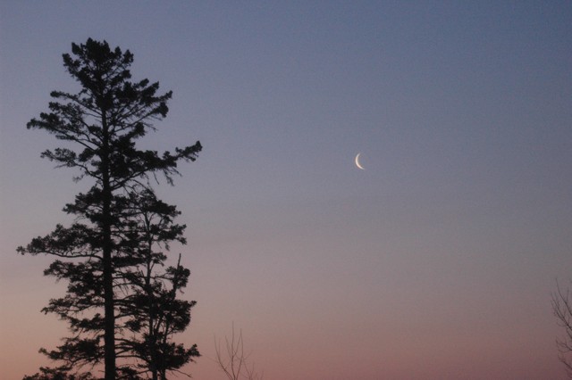 Image for moonrise 1