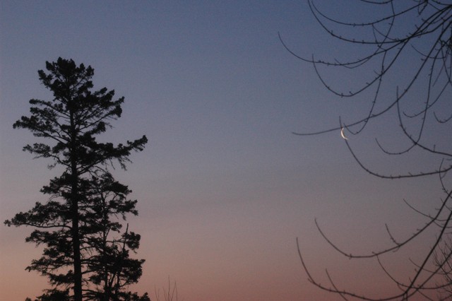 Image for moonrise 2