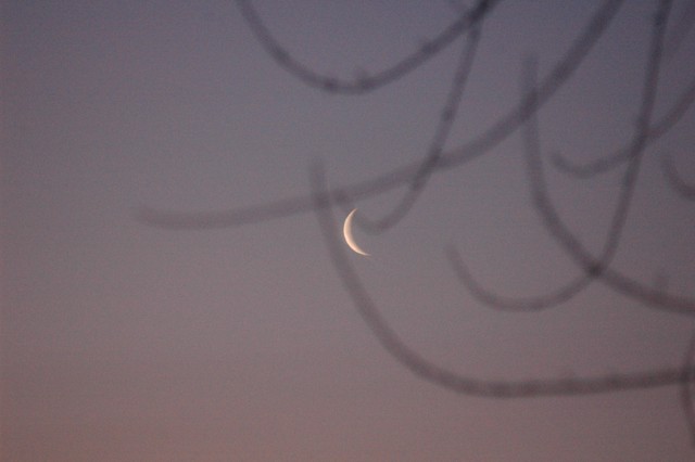 Image for moonrise 4